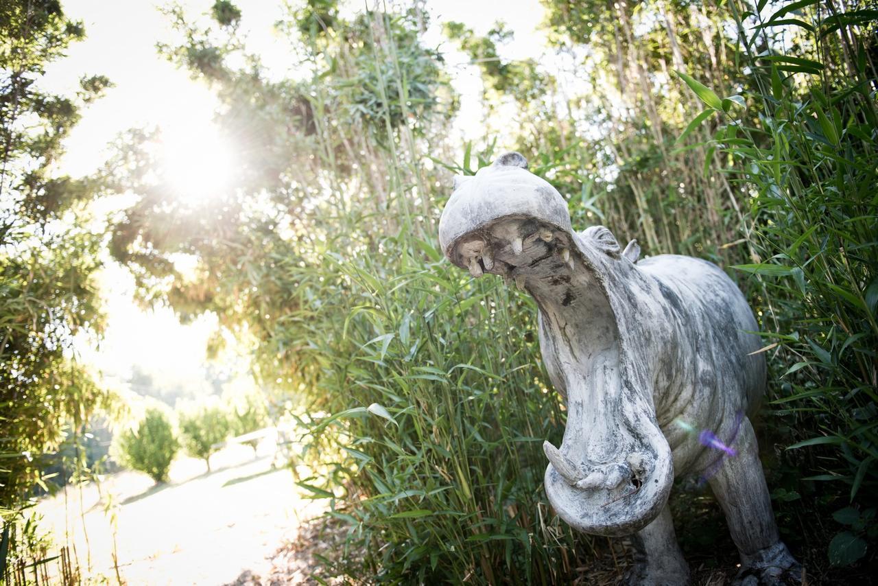 Domaine De Barive Hotel Sainte-Preuve ภายนอก รูปภาพ